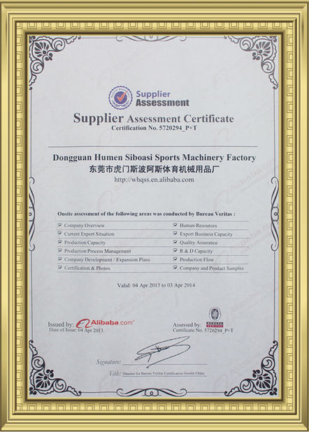 চীন Dongguan Skyegle Intelligent Technology Co.,Ltd. সার্টিফিকেশন